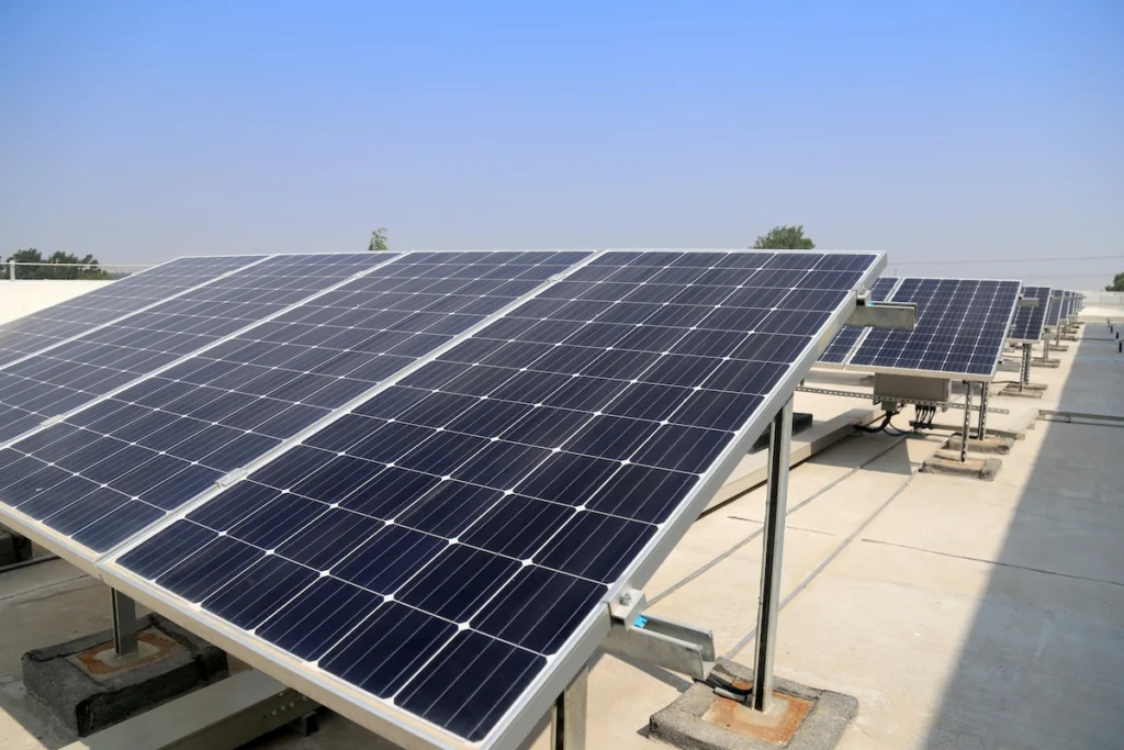 critter guard installation, solar panel damage from animals, pigeon proofing solar panels